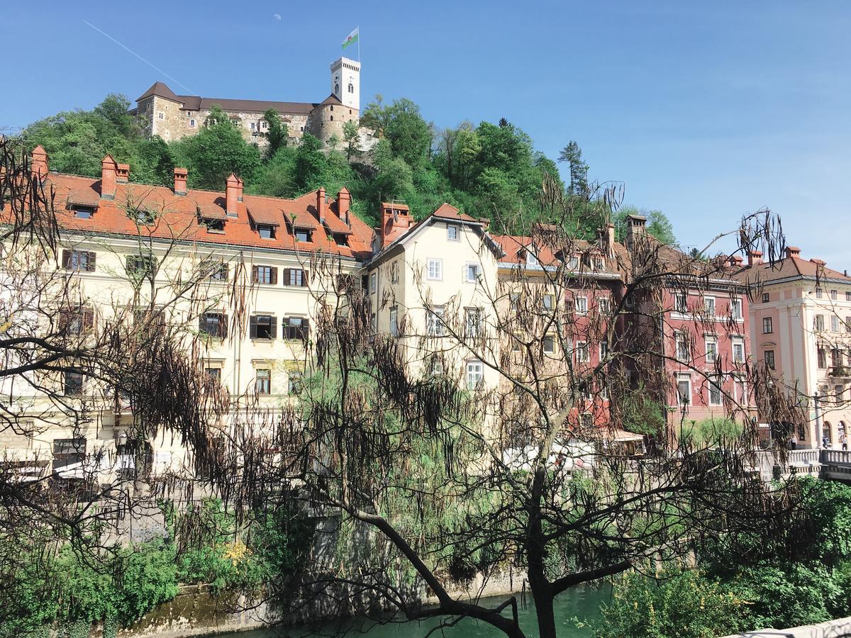 River And Castle View Apartment Rose Tour As Λιουμπλιάνα Εξωτερικό φωτογραφία